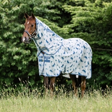 Dragonfly Print/Silver/Blue & Sage